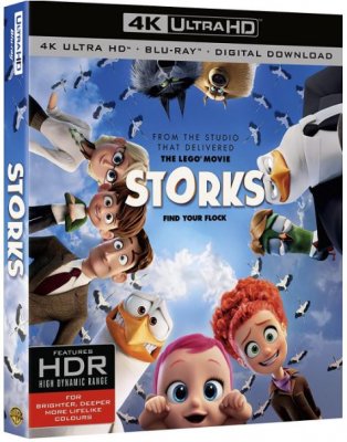 Storke 4K Ultra HD